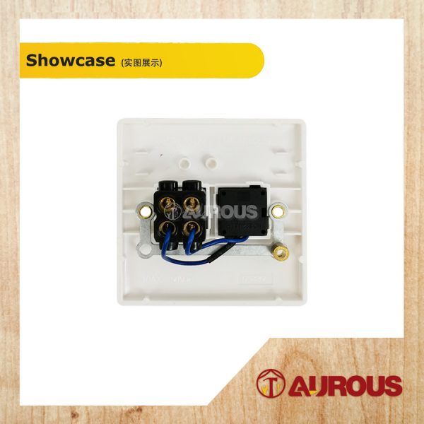FLUSH SWITCH WITH NEON INDICATOR DS820L 20A 250V - Image 2
