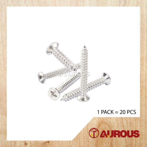 STAINLESS STEEL SELF TAPPING SCREW M4 8# (20 PCS)