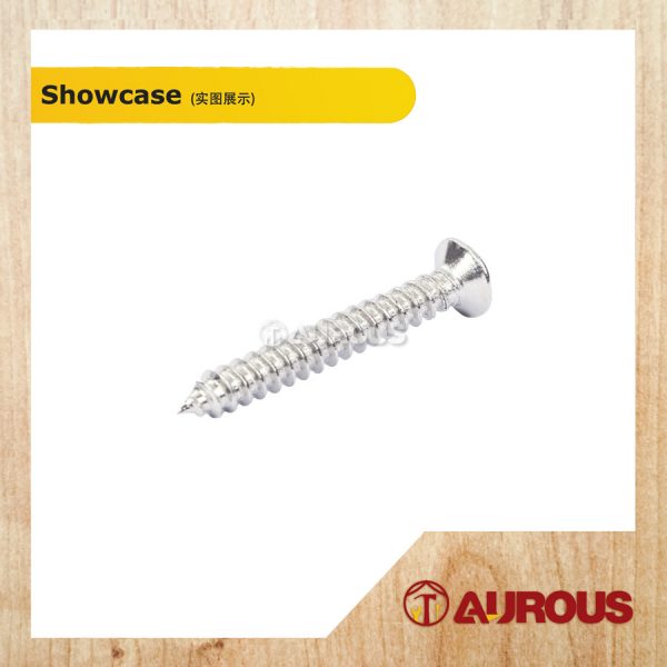 STAINLESS STEEL SELF TAPPING SCREW M4 8# (20 PCS) - Image 3