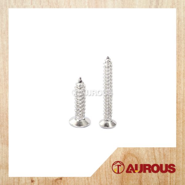 STAINLESS STEEL SELF TAPPING SCREW M4 8# (1 PIECE)