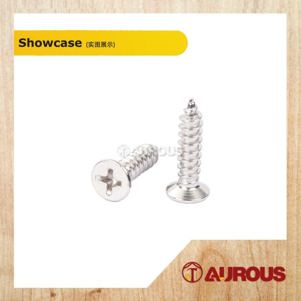 STAINLESS STEEL SELF TAPPING SCREW M4 8# (20 PCS) - Image 2