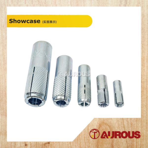 DROP-IN ANCHOR WALL PLUG 1/4'' , 5/16'' , 3/8'' , 1/2'' , 5/8'' - (1PIECE) - Image 2
