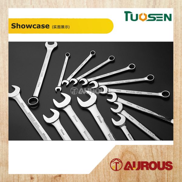 TUOSEN COMMON RING COMBINATION SPANNER SET (13010 / 13020） - Image 5
