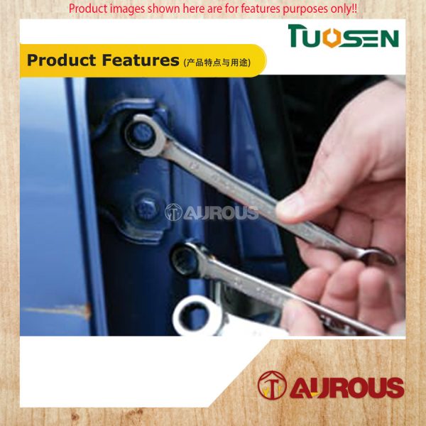 TUOSEN COMMON RING COMBINATION SPANNER SET (13010 / 13020） - Image 7