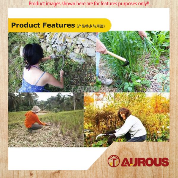 B-Tani Grass Sickle (Long) with Short Plastic Handle Sabit Rumput - Image 6