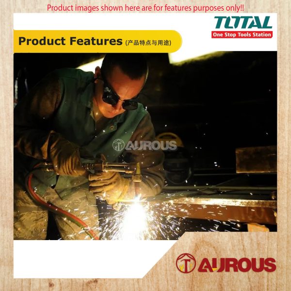 TOTAL EYE GLASSES WELDING SAFETY GOGGLES TSP307 (BLACK) - Image 4
