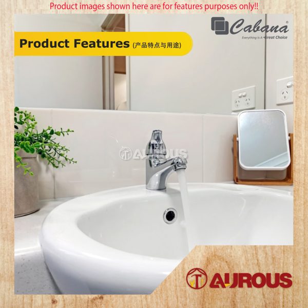 CABANA BATHROOM TOILET STAINLESS STEEL 304 BASIN TAP WATER TAP FAUCET (CB2517SS-GM) - Image 3