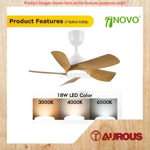 REGAIR INOVO ROZY 30'' 18W LED LIGHT CEILING FAN 5 BLADES WITH DC MOTOR 8+8 SPEED FORWARD REVERSE (ROZY 30) - Image 4