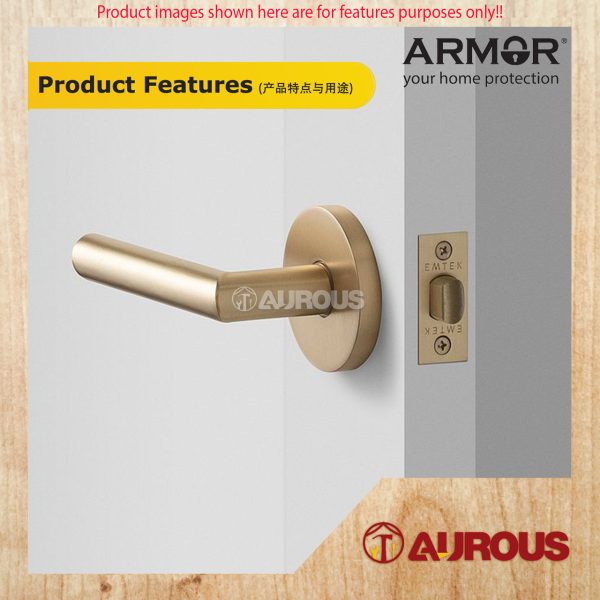 ARMOR ENTRANCE TUBULAR LEVER LOCK C/W 60-70MM LATCH BACKSET ATL-R1506 (PB/RG) - Image 6