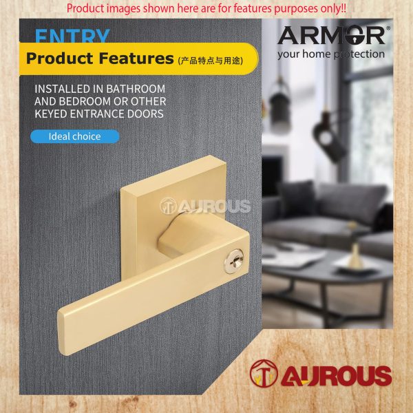 ARMOR ENTRANCE TUBULAR LEVER LOCK C/W 60-70MM LATCH BACKSET ATL-R1607 (PB/RG) - Image 6