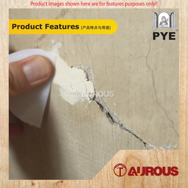 PYE PUTTY FILLA READY MIXED ACRYLIC-BASED FILLER FAST DRY FILLER EXTERIOR & INTERIOR (0.5KG / 1.5KG) - Image 7